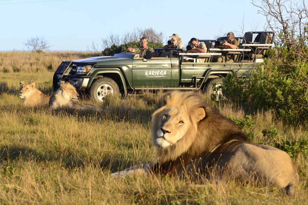 Kariega Game Reserve Main Lodge Kenton on Sea Εξωτερικό φωτογραφία