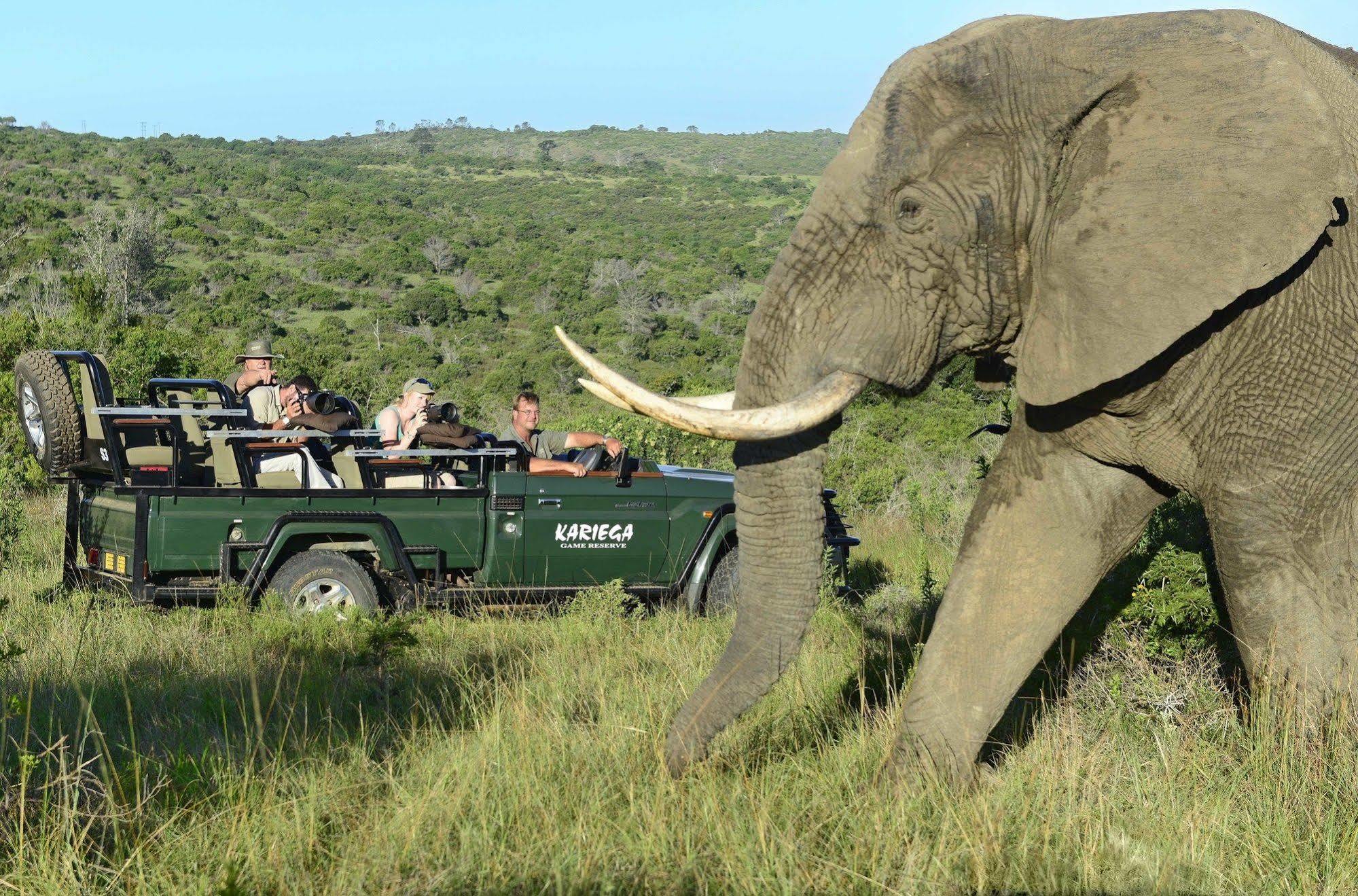 Kariega Game Reserve Main Lodge Kenton on Sea Εξωτερικό φωτογραφία
